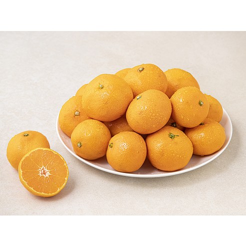 신선하고 품질 좋은 강서시장 새벽경매 하우스 감귤