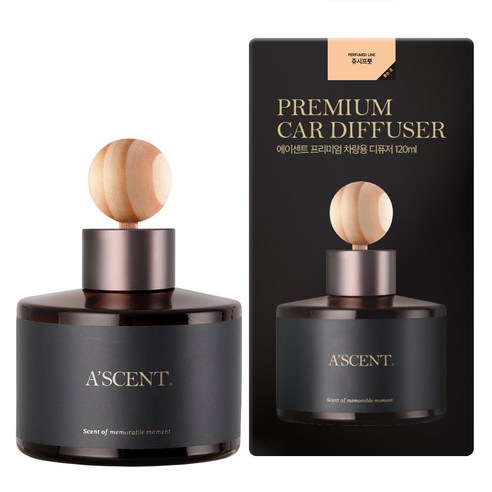 에이센트 차량용 네이처 디퓨저, 쥬시프룻, 120ml, 1개