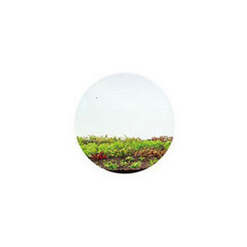 아쿠아리오 네오 컴팩트 소일 플랜츠로 손쉽게 나만의 아름다운 수초 어항을 완성하세요.