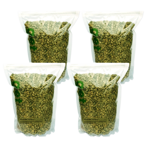 그린어쓰 이디오피아 시다모G2, 500g, 4개