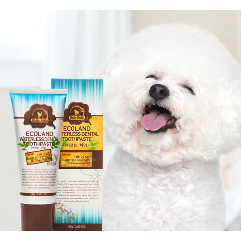 부드러운 손길로 전하는 건강한 미소