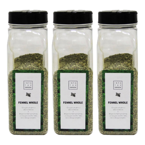 딜리셔스마켓 펜넬 홀 천연 향신료, 300g, 3개