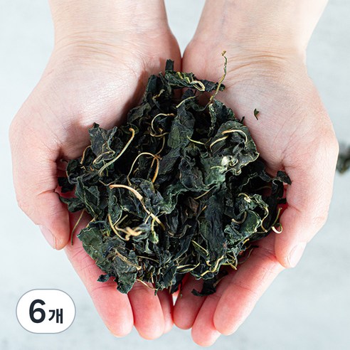 썬앤지 국내산 건고춧잎, 100g, 6개