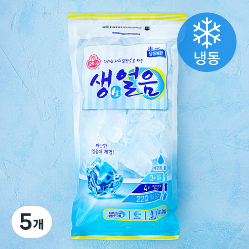 오뚜기 생얼음 (냉동), 1kg, 5개