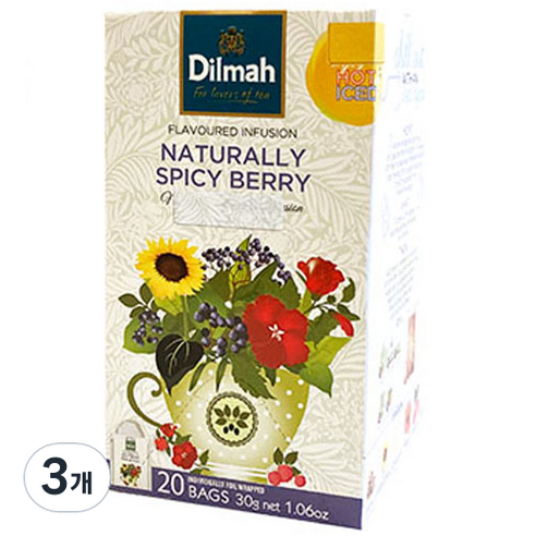 딜마 Funtea 내츄럴 스파이시 베리 과실차, 1.5g, 20개입, 3개