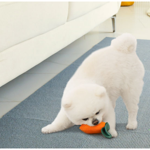 사랑하는 반려동물을 위한 안전하고 쾌적한 공간, 레토 논슬립 퍼즐 매트