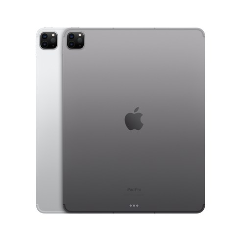 Apple 정품 2022 아이패드 프로 12.9 6세대 M2칩, 실버, 256GB, Wi-Fi+Cellular