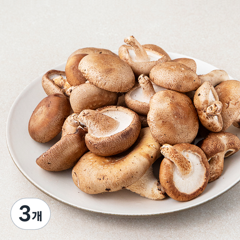 못생겨도 맛있는 표고버섯, 500g, 3개