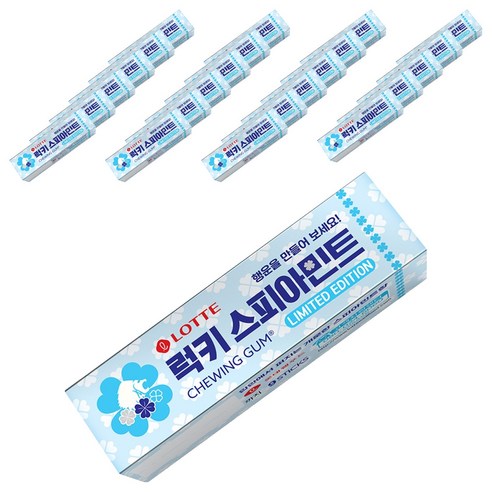 롯데제과 스피아민트 껌, 26g, 24개