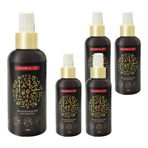 갑당약초 어성초 자소엽 녹차 모발 스프레이 팩, 160ml, 5개