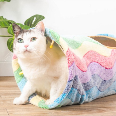 빌리네집 레인보우 고양이 터널 활기찬 놀이를 위한 최적의 터널입니다!
