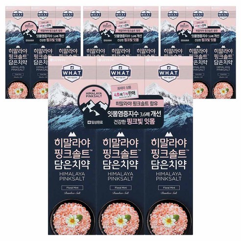 히말라야핑크솔트 담은 치약 플로럴, 12개, 100g