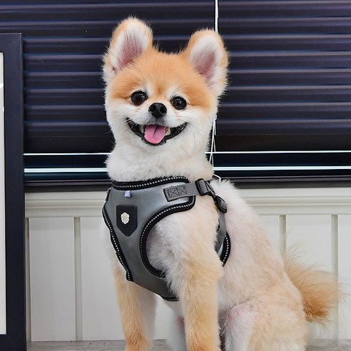 퍼피아 올치 강아지 빛 반사 셀럽 하네스 C형, 그레이