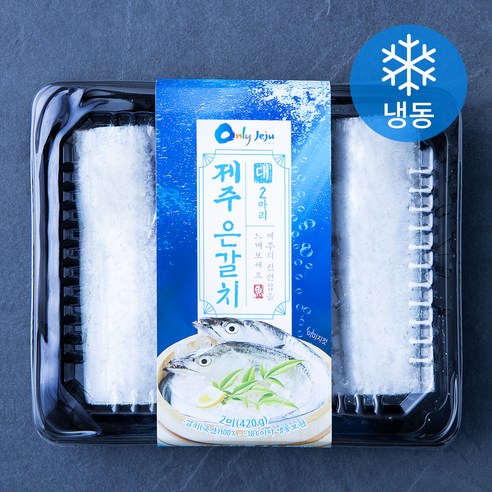 비비수산 제주 은갈치 (냉동), 420g(대, 2마리), 1팩