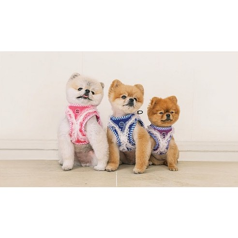 伴侶 寵物用品 小狗用品 背帶 寵物狗 狗狗 狗狗 小狗 小狗 寵物狗