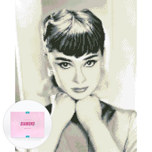 디클레어 액자 캔버스형 보석십자수 DIY 키트 40 x 50 cm, 정면 오드리, 1세트