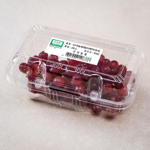 산내농협 GAP 델라웨어 포도, 200g, 1개