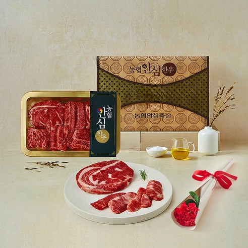 [로켓프레시] 농협안심한우 1등급 채반 선물세트 2호 1kg (등심 500g + 부채살 150g + 업진살 150g + 채끝 200g) (냉장), 1세트