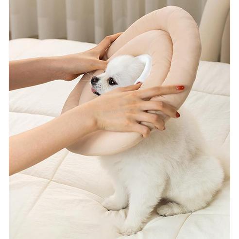 애완동물의 안전과 스타일을 동시에!