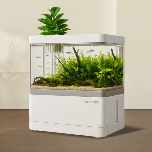 작은 행복을 담는 나만의 공간, 모비딕 모모탱크 미니어항으로 시작하는 특별한 하루 모모탱크