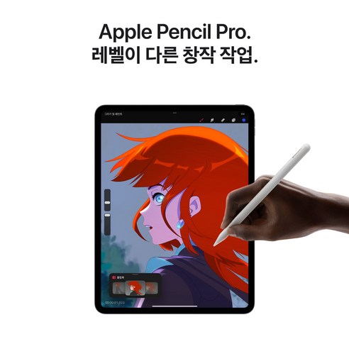 Apple 정품 2024 아이패드 프로 11 M4칩 스탠다드 글래스, 스페이스블랙, 256GB, Wi-Fi