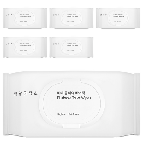 생활공작소 비데 물티슈 베이직 캡형, 100매, 6개