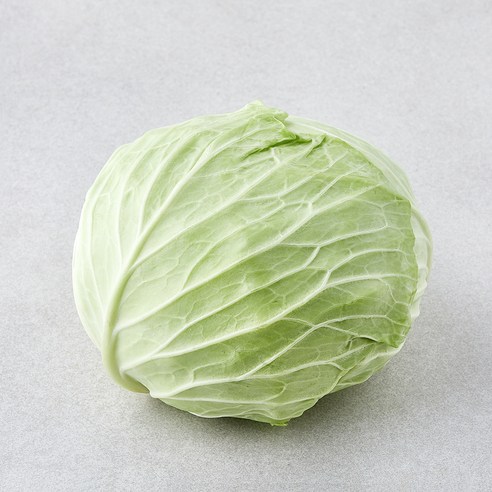 [로켓프레시] 작아도 맛있는 양배추
