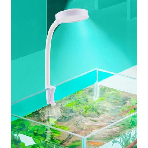 작은 빛으로 시작하는 풍요로운 아쿠아 라이프