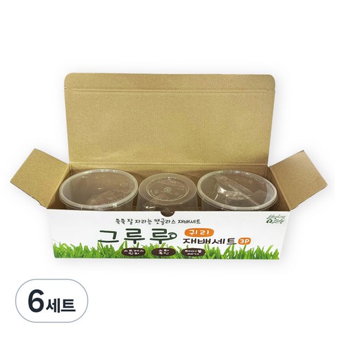 힐링타임 그루루 캣그라스 재배세트 3p, 귀리, 6세트