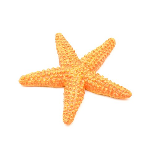 276829 불가사리 Starfish, 1개, 10.5x10.5x1.5cm