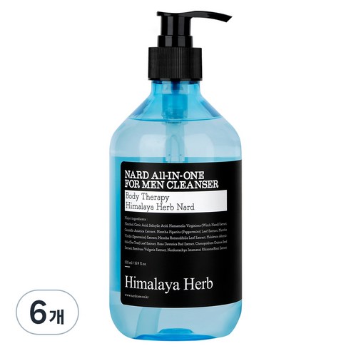 나드 올인원 남성청결제, 500ml, 6개