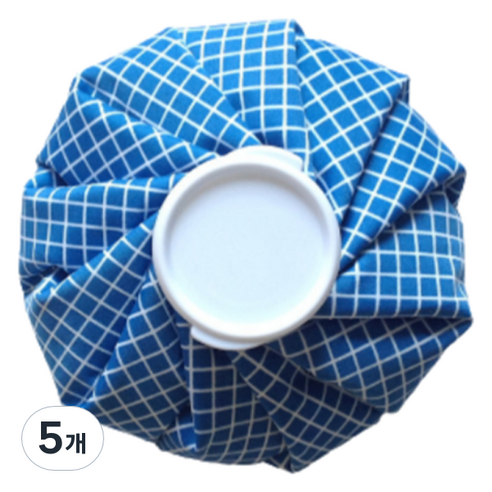 스타리움 냉온 찜질 얼음주머니 찜질팩 블루 대, 5개
