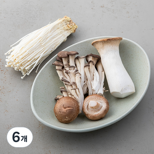 무농약인증 구이용 버섯 모음, 400g, 6개