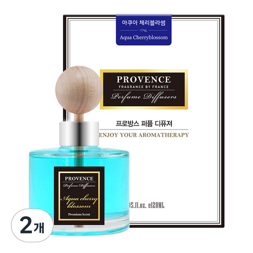 더허브샵 프로방스 퍼퓸 차량용 디퓨저 본품, 아쿠아체리블라썸, 2개