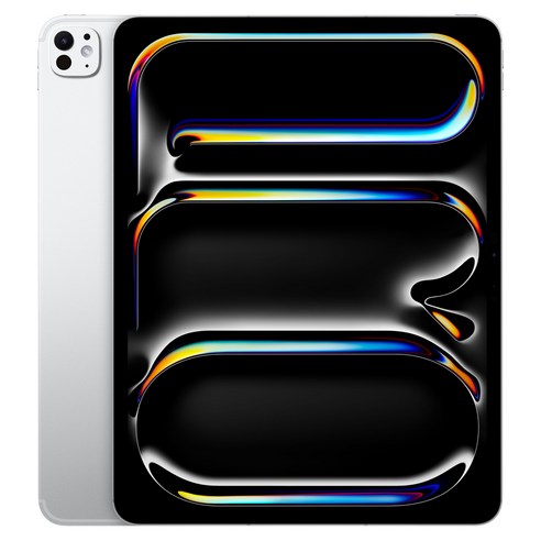 Apple 정품 2024 아이패드 프로 13 M4칩 Nano-texture 글래스, 스페이스블랙, 1TB, Wi-Fi