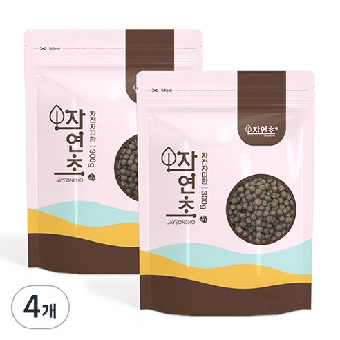 자연초 차전자피환, 4개, 300g