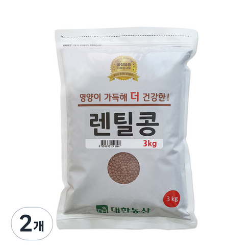 대한농산 렌틸콩, 3kg, 2개