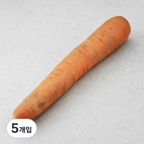친환경 흙당근, 1개입, 5개