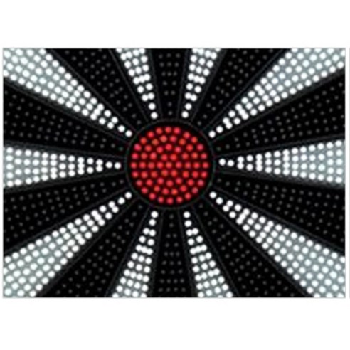 안전과 재미, 교육까지! 온 가족이 함께 즐기는 바니랜드 안전다트