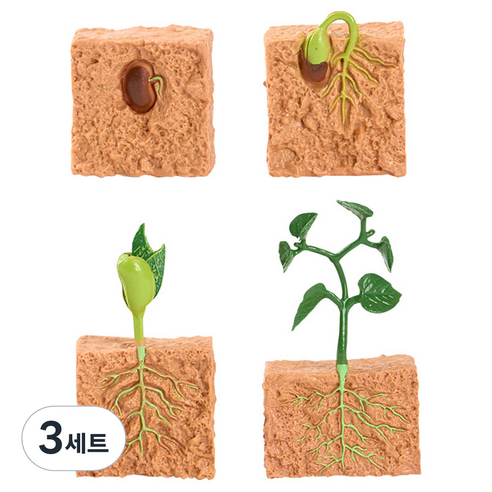 캐스비 네이처 성장 과정 피규어 식물 세트, 3세트