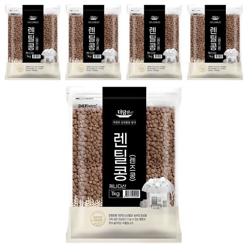 더담은 렌틸콩 렌즈콩, 1kg, 5개
