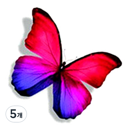 파티복닷컴 나비 웬디 타투 스티커, AC78, 5개