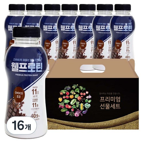 웰프로틴 초코, 40g, 16개