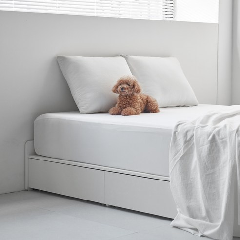 도모 라베노 3단 수납 침대 프레임: 실용성과 가성비를 모두 잡다!