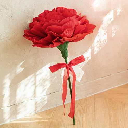 생생한 자이언트 리본장식 카네이션으로 우아함과 아름다움을 선사하세요.