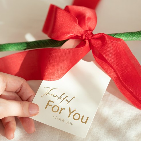 생생한 자이언트 리본장식 카네이션으로 우아함과 아름다움을 선사하세요.