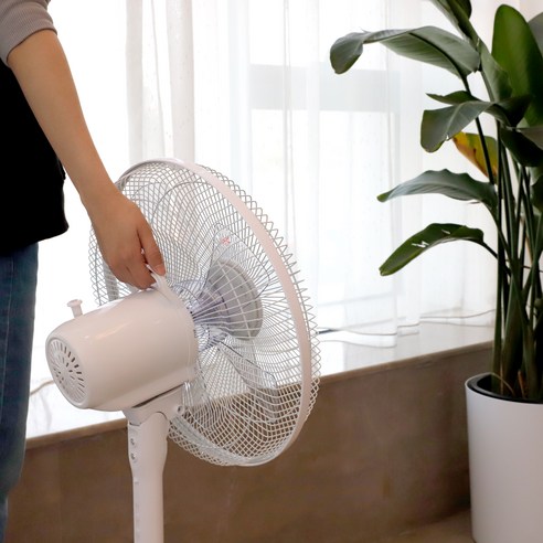 家用電器 季節性電器 風扇 支架型 5葉以上 家用電器 支架型 支架 支架