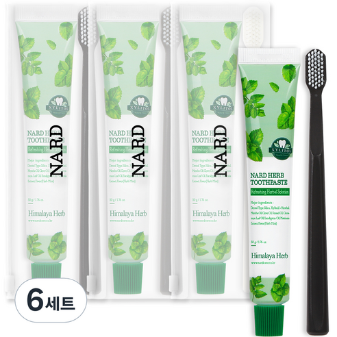 나드 부케가르니 여행용 치약 + 칫솔 렌덤발송 + 파우치, 6세트