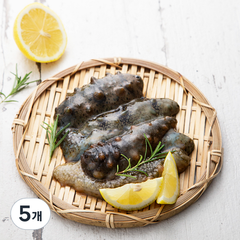 직접 손으로 채취한 남해안 자연산 해삼, 240g, 5개