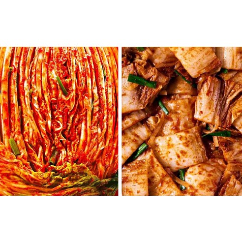 종가 깔끔한맛 맛김치, 식탁을 풍요롭게 하는 시원한 선택